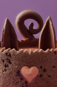 Royal chocolat aux bonbons Arlequins 
© Création - Qui a volé les tartes
© Stylisme - La Châteleine