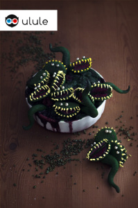 Plantes carnivores - crumble pistache & framboises
©Photographie et stylisme culinaire Qui a volé les tartes ?